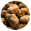 tartufo